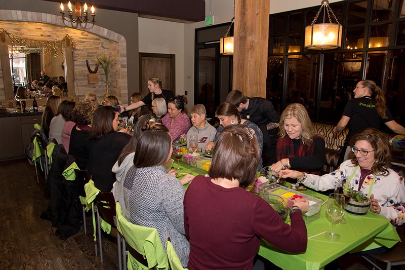 2017 - Ladies Night Out - Photo 003
